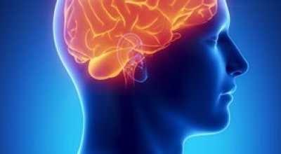Cerebro_y_Obesidad