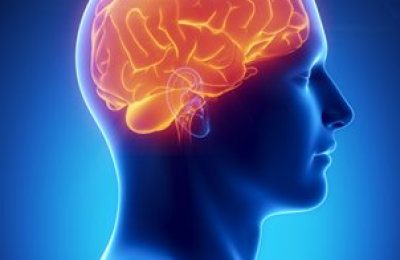 Cerebro_y_Obesidad