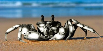 Crab_robot_Wallpaper_rljxu-800x600