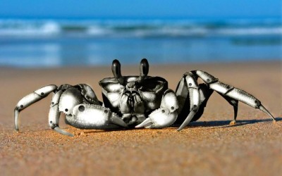 Crab_robot_Wallpaper_rljxu-800x600