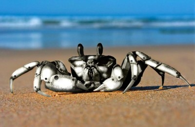 Crab_robot_Wallpaper_rljxu-800x600
