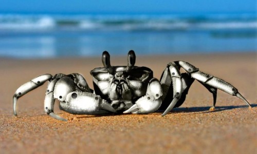 Crab_robot_Wallpaper_rljxu-800x600