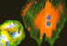 melanoma5637467