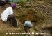 reparacion_averia_de_coraaplata