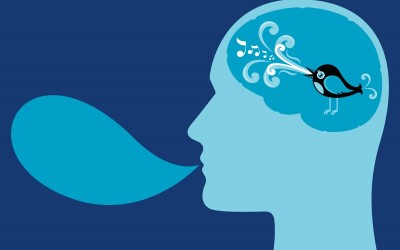 twitter7-800x542