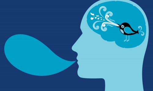 twitter7-800x542