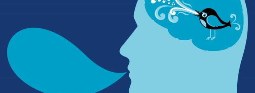 twitter7-800x542
