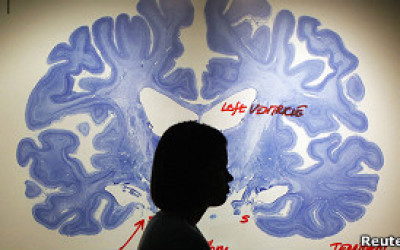 120325001807_depresion2_304x171_reuters