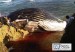 IMG-20120316-00288