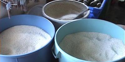 arroz_alimento