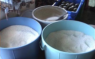 arroz_alimento