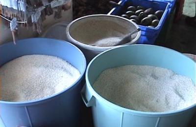 arroz_alimento