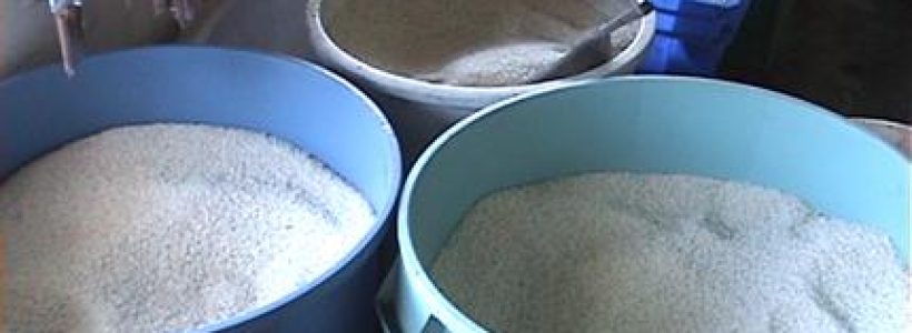 arroz_alimento