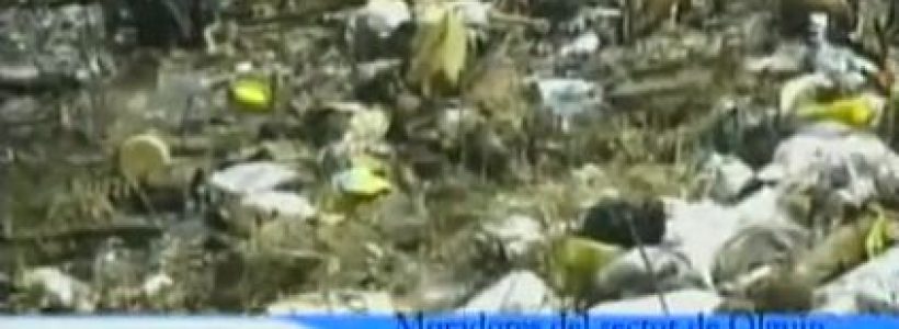 basura_en_holguin