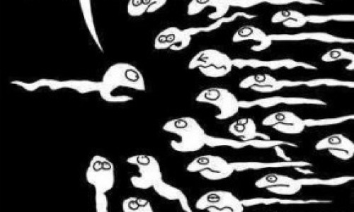 espermatozoides-290x3006734565