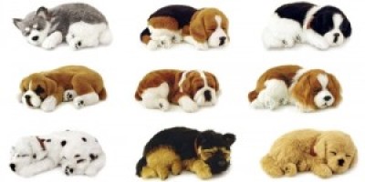 mascota1-300x166