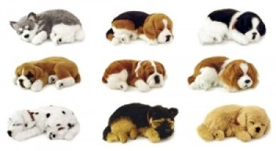 mascota1-300x166