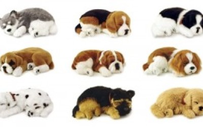 mascota1-300x166