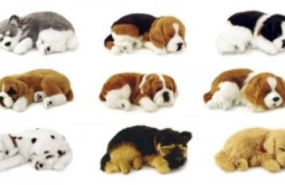 mascota1-300x166