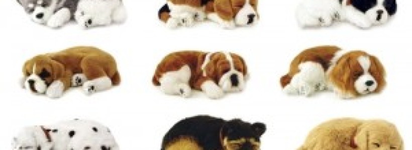 mascota1-300x166