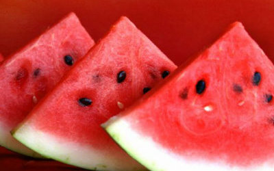 rebanadas_sandia6657567e567