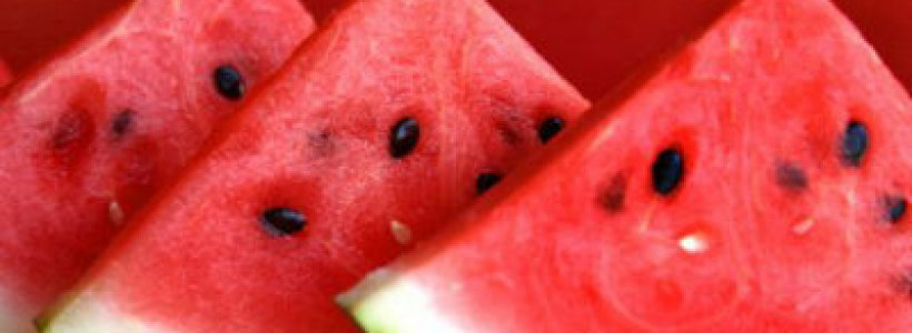 rebanadas_sandia6657567e567