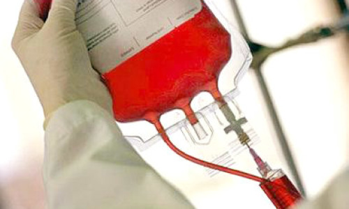 dar-sangre_286789567855857578