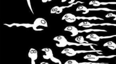 espermatozoides-290x3006734565