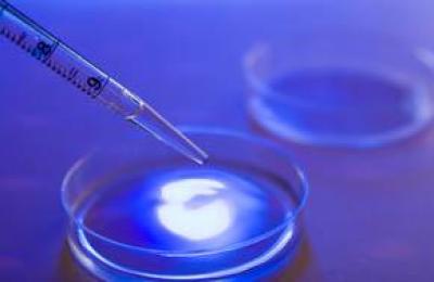 vacuna-el-dengue-sanofi-muestra-prometedora-L-GgcM4c