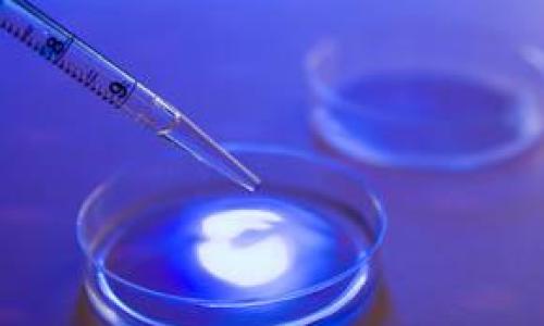 vacuna-el-dengue-sanofi-muestra-prometedora-L-GgcM4c