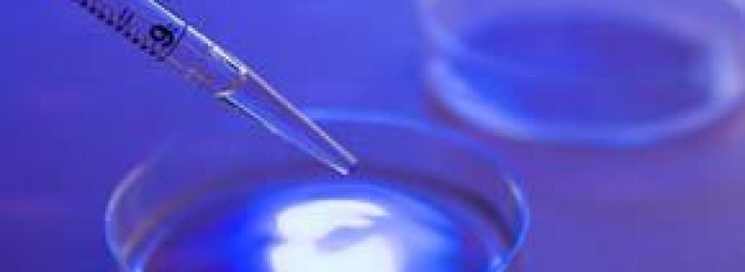 vacuna-el-dengue-sanofi-muestra-prometedora-L-GgcM4c