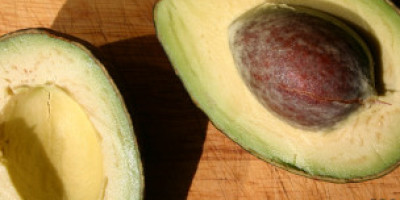 110911194415_avocado_bbc_304x171_bbc