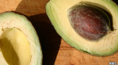 110911194415_avocado_bbc_304x171_bbc