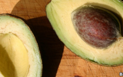 110911194415_avocado_bbc_304x171_bbc