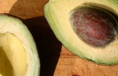110911194415_avocado_bbc_304x171_bbc