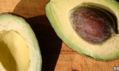 110911194415_avocado_bbc_304x171_bbc