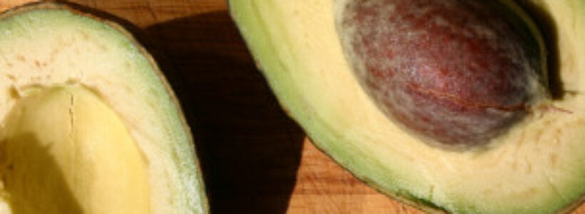 110911194415_avocado_bbc_304x171_bbc