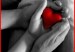CORAZON_MANOS_177748