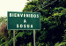 Sosua_letroro