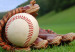 guante_beisbol1