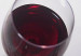 111110115213_vino__304x171_bbc_nocredit
