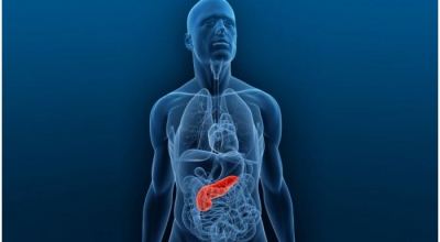 cancer-pancreas768675453