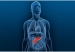 cancer-pancreas768675453