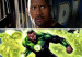 int_linternaV_dwayne_J