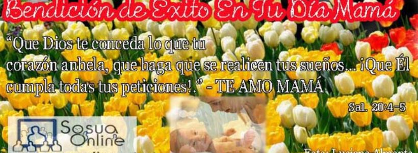 dia_de_las_madres_2012