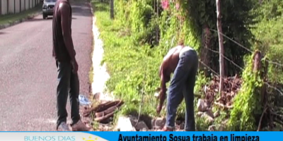 trabajos_AMS