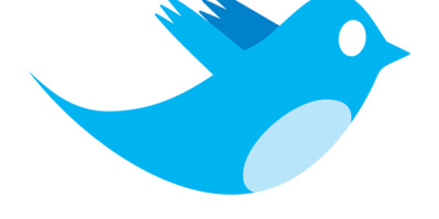 twitter_bird_logo_by_biz-stone
