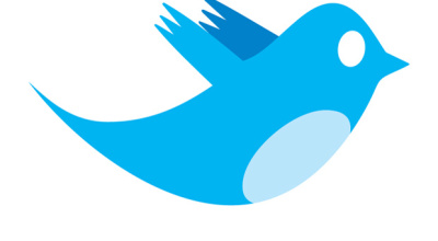 twitter_bird_logo_by_biz-stone