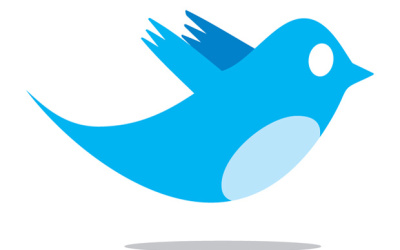 twitter_bird_logo_by_biz-stone