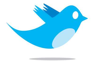 twitter_bird_logo_by_biz-stone